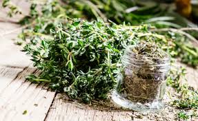 Image result for Thymian
