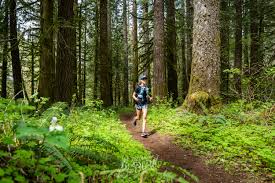 Image result for kommtek tehron