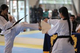 Image result for Surrey Taekwondo