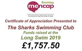 Image result for Sharks Swimming Club Of Mottingham