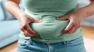 Image result for fat