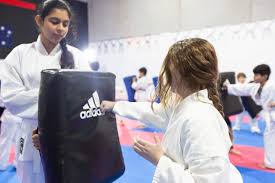 Image result for Ynys Mon Shukokai Karate Club, North Wales