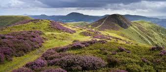 Image result for Long Mynd