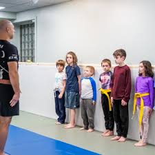 Image result for Phoenix Martial Arts