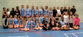 Image result for Elvington Ladies Netball Club