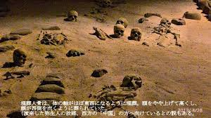 Image result for 土井ヶ浜遺跡　視線　故郷