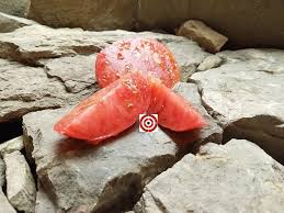 Afbeeldingsresultaat voor butter and bull heart tomato