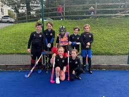 Image result for St Austell Cricket Club