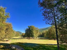 Image result for Ashville College Disc Golf Club