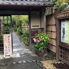 「望月麻里（マリ）」の画像検索結果