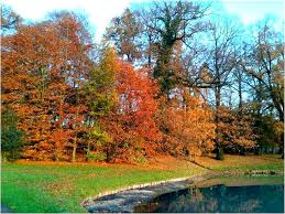 Image result for sonsbeek park