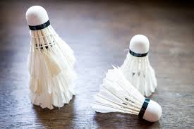 Image result for Le Club Badminton Club
