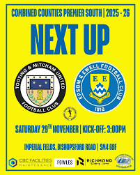 Image result for Epsom & Ewell Football Club