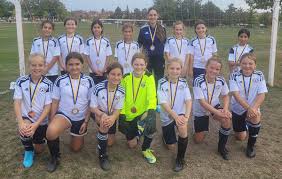 Image result for York University Futsal Club