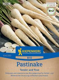 Image result for Pastinake