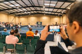 Image result for Kensington Pickleball Club