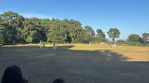 Image result for Ewhurst Cricket Club
