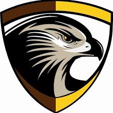 Image result for Wimbledon Hawks