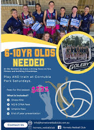 Image result for Hornets Netball Club