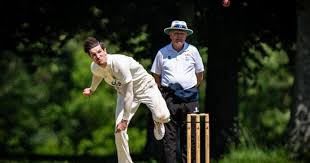 Image result for Stalbridge Cc