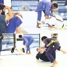Image result for Unity School Of Jiu Jitsu