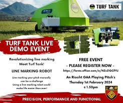 Image result for An Riocht Gaa Club