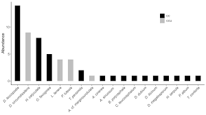 Attēlu rezultāti vaicājumam “Oligonema persimile sessile”