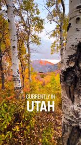 Image result for $$fall_akte__ort$$