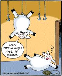 Kurbanlık Fiyatları Cep Yakacak Valla