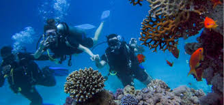 Image result for Underwater Adventures