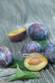 Attēlu rezultāti vaicājumam “Prunus domestica subsp. domestica”