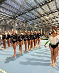 Image result for Bevendean Gymnastic Club