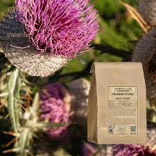 Attēlu rezultāti vaicājumam “Silybum marianum fruit”