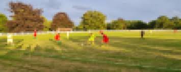Image result for Virginia Water Football Club