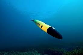 Image result for Halifax Octopush Club