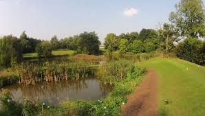 Image result for Chalgrave Sports Club