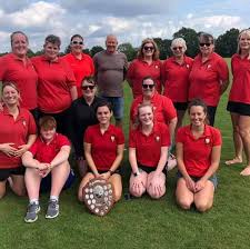 Image result for Hailsham Stoolball Club