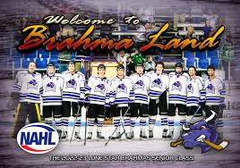 Image result for Bramhall Hockey Club