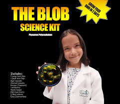 Attēlu rezultāti vaicājumam “Physarum sulphureum stalked”