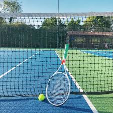 Image result for Dorking Lawn Tennis Club