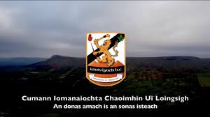 Image result for Causeway Hurling Club