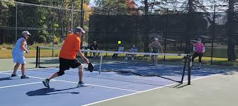 Image result for Mid Kent Pickleball