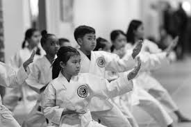 Image result for Northern Freestyle Karate Association
