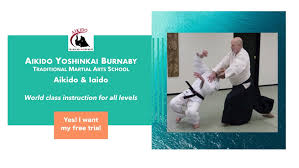 Image result for Goryukai Aikido Yoshinkan (Chichester)