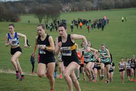 Image result for Orion Harriers Athletics Club