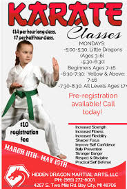 Image result for Hidden Dragon Karate-Do