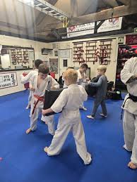 Image result for Chikara Dojo Of Kyokushin Karate