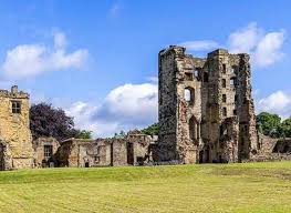 Image result for Ashby Castle Octopush Club
