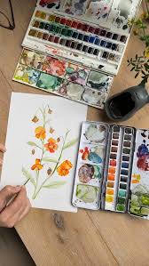 Image result for Alonsoa linearis