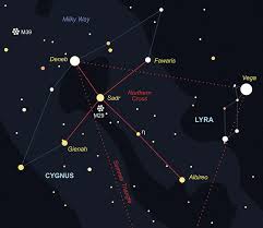 Attēlu rezultāti vaicājumam “Cygnus”